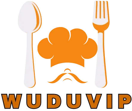wuduvip.com